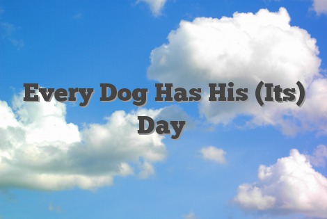 Every Dog Has His (Its) Day