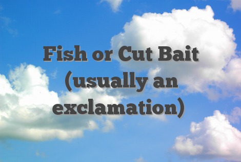 Fish or Cut Bait (usually an exclamation)