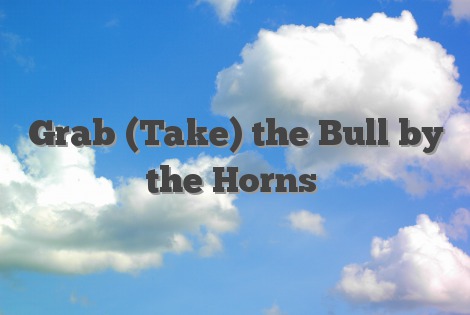 Grab (Take) the Bull by the Horns