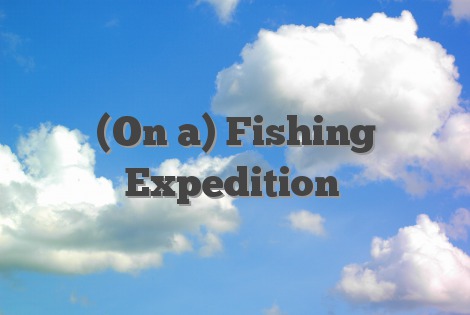 (On a) Fishing Expedition