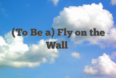 (To Be a) Fly on the Wall