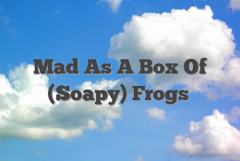 Mad As A Box Of (Soapy) Frogs