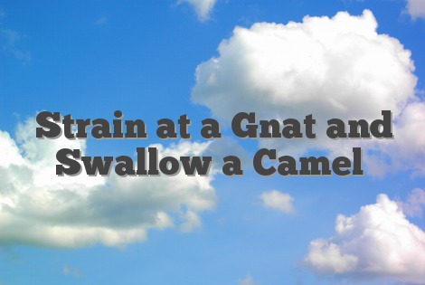 Strain at a Gnat and Swallow a Camel