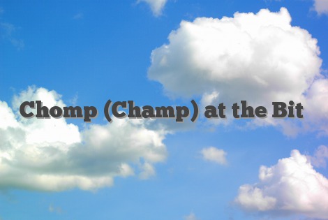 Chomp (Champ) at the Bit