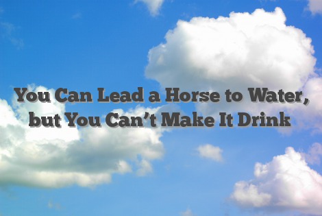 You Can Lead a Horse to Water, but You Can’t Make It Drink
