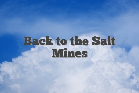 Back to the Salt Mines