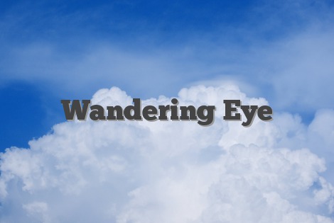 Wandering Eye