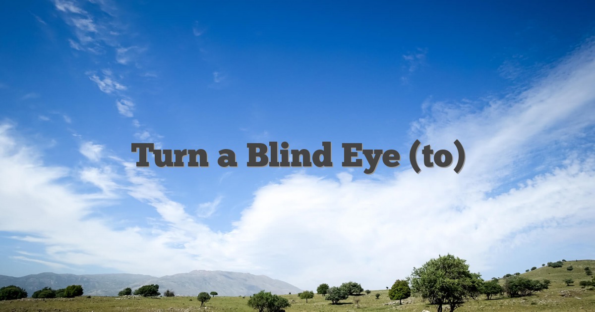 Turn a Blind Eye (to)