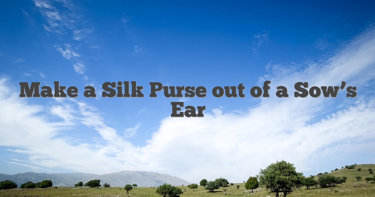 Make a Silk Purse out of a Sow’s Ear