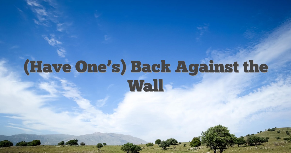 Have One S Back Against The Wall English Idioms Slang Dictionary - What Does Back Against The Wall Mean