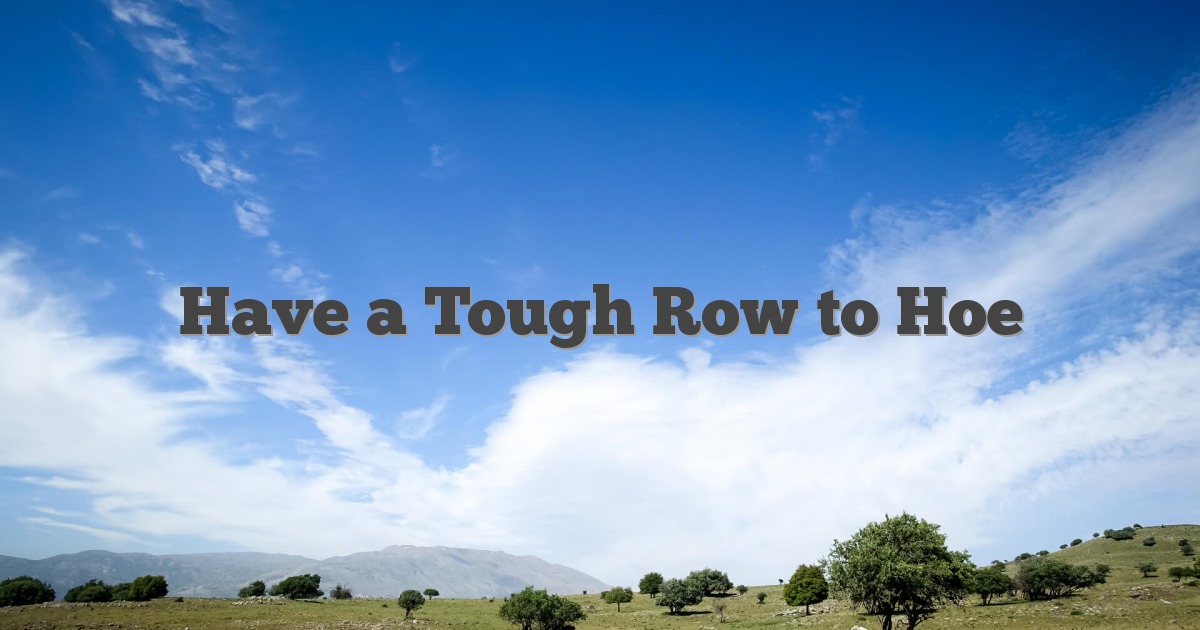 Have a Tough Row to Hoe