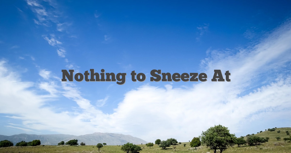 Nothing to Sneeze At